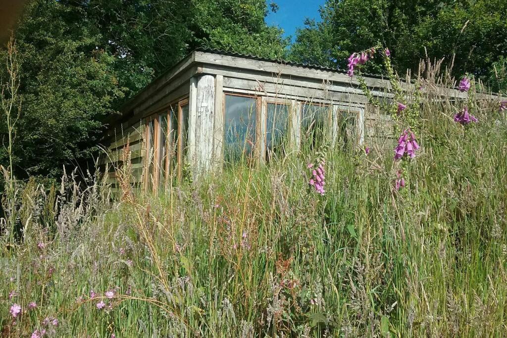 South Brent Foxesden, Unique Eco Cabin, Dartmoor Views מראה חיצוני תמונה
