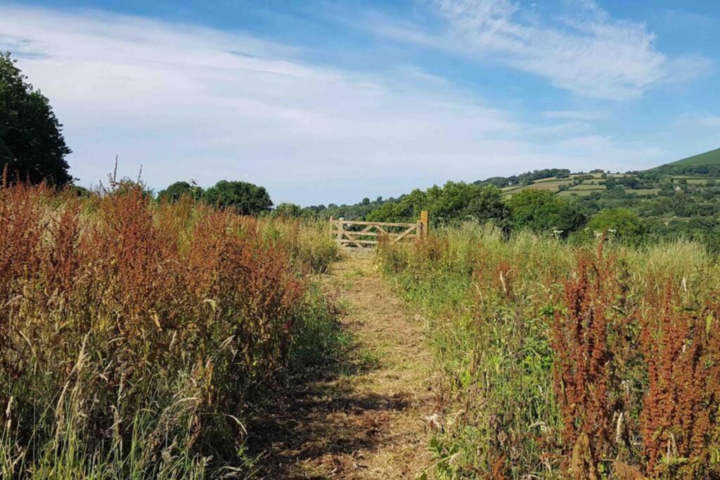 South Brent Foxesden, Unique Eco Cabin, Dartmoor Views מראה חיצוני תמונה
