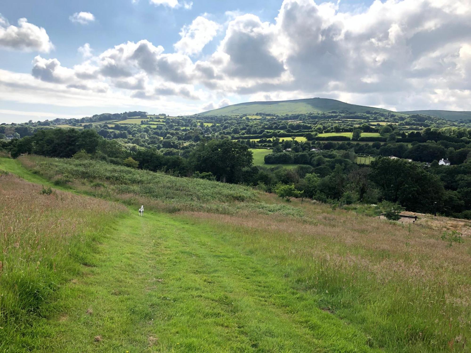 South Brent Foxesden, Unique Eco Cabin, Dartmoor Views מראה חיצוני תמונה