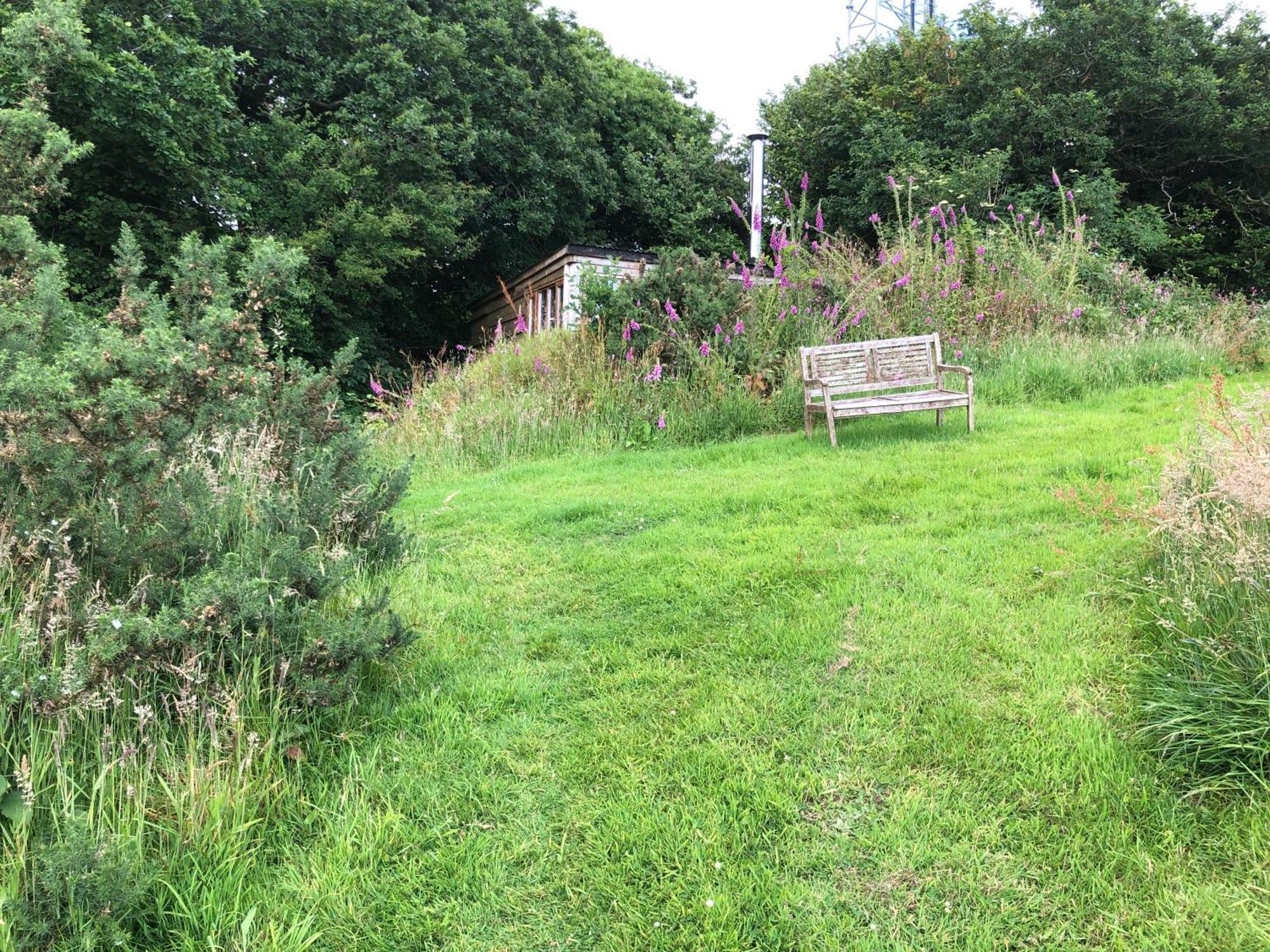 South Brent Foxesden, Unique Eco Cabin, Dartmoor Views מראה חיצוני תמונה